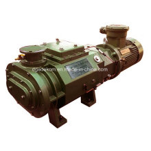 Horizontal Type Water Cooled Dry Screw Vacuum Pump (DSHS-150)